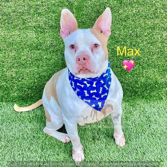 Max