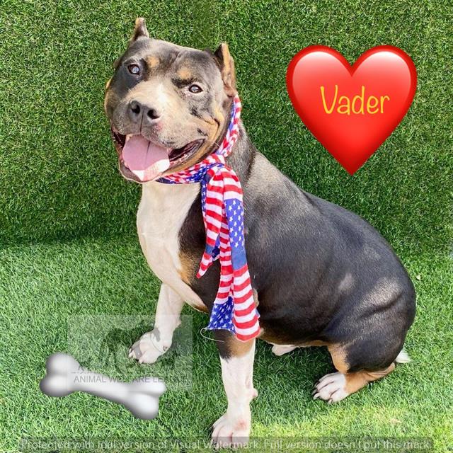 Vader