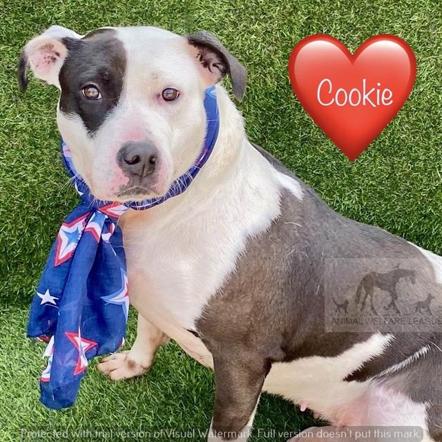 Cookie