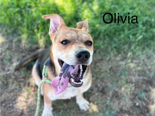 Olivia