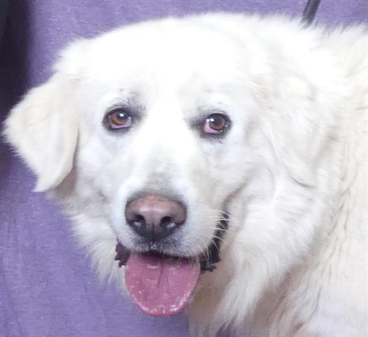 Bonnie