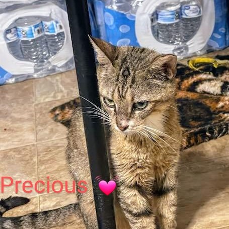 Precious
