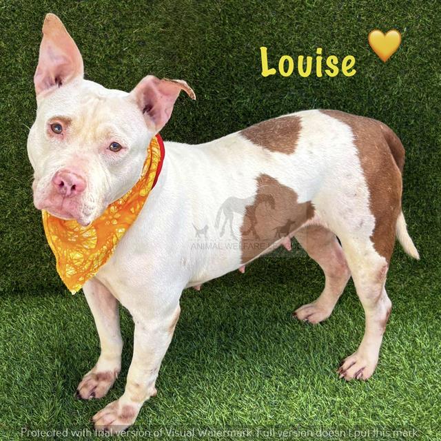 Louise
