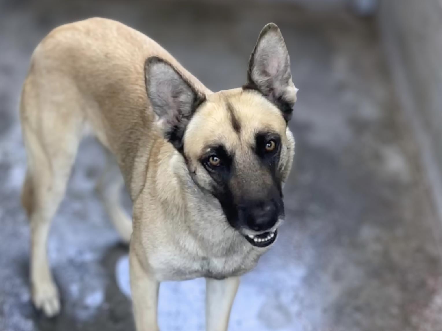 Luna