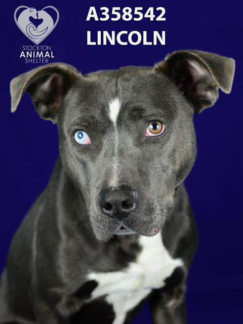Lincoln