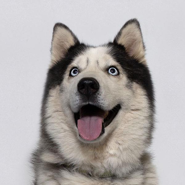 Finn