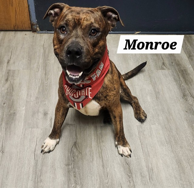 Monroe