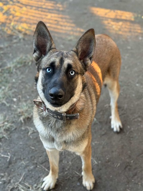 Murphy