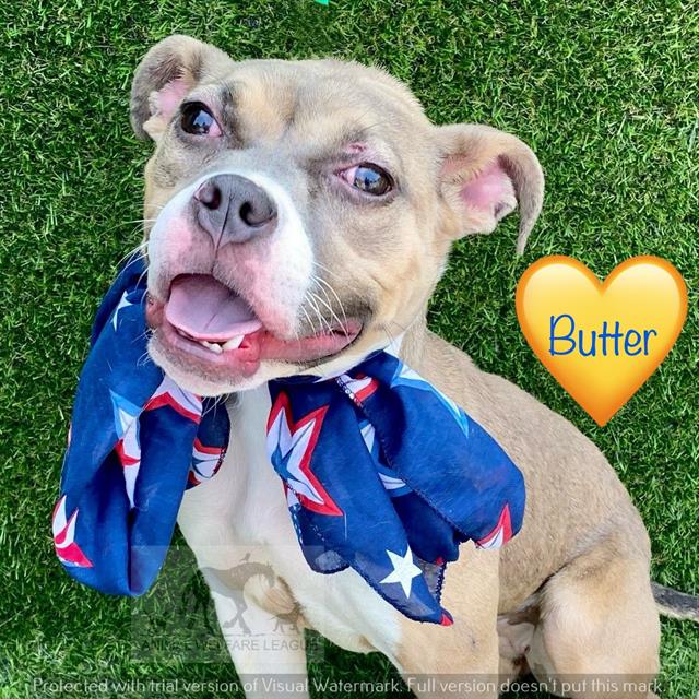 Butter