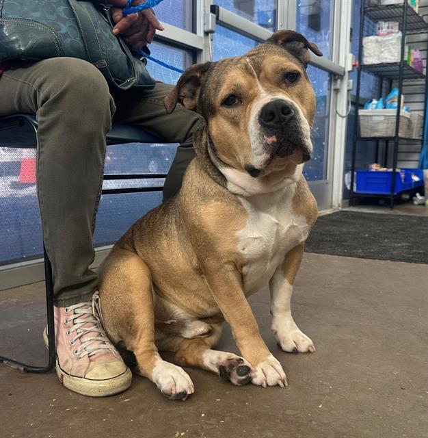Max