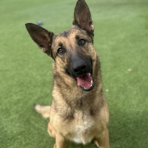 *Keira