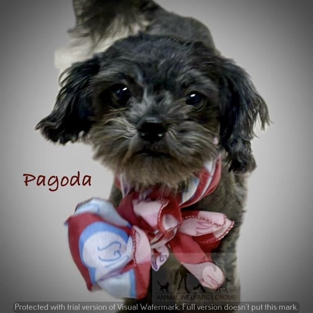 Pagoda