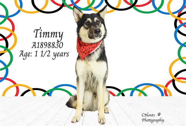 Timmy