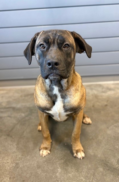 Ellie