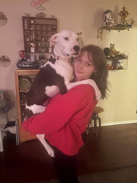 Daisy
