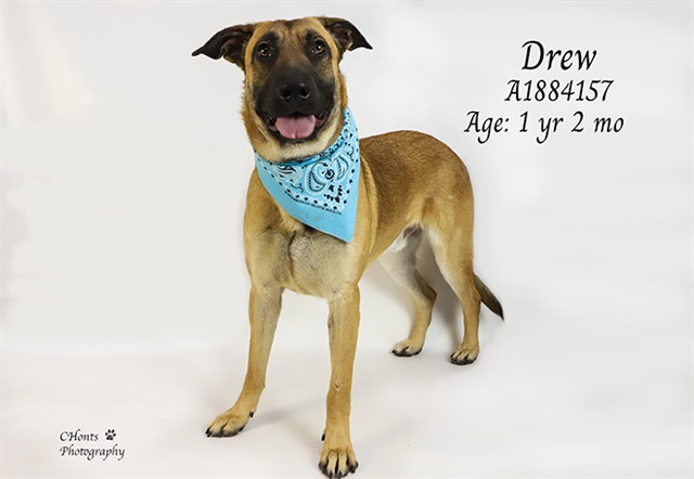 Drew