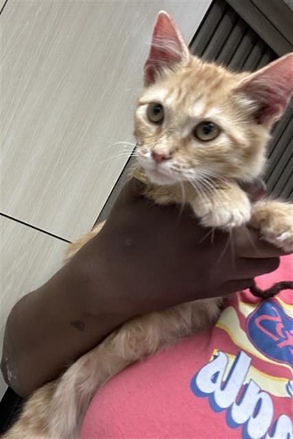 Zaxby
