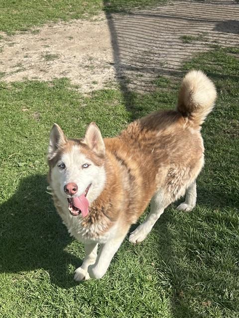 Luna