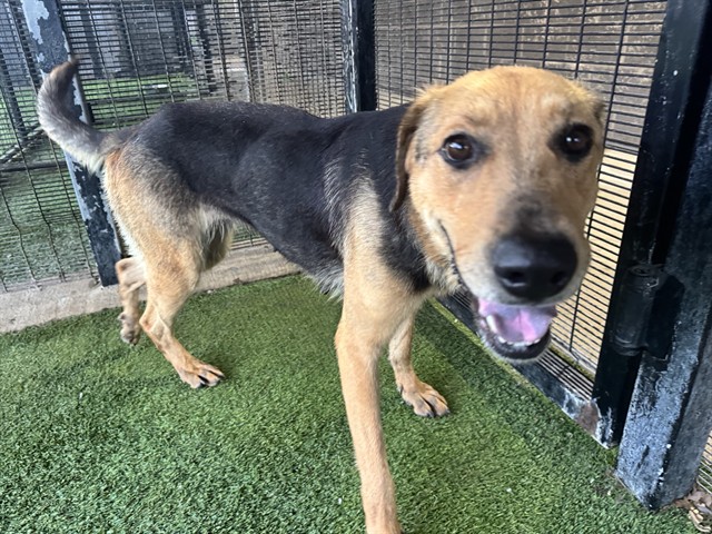 Lorena