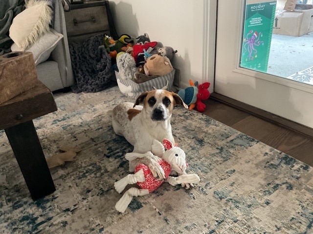 Roscoe