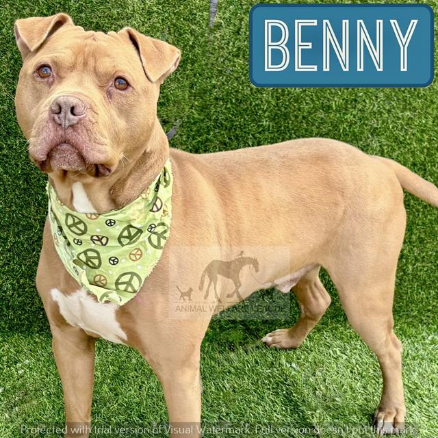 Benny