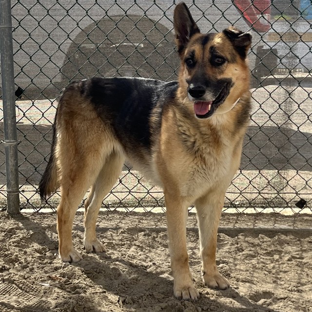 Luna