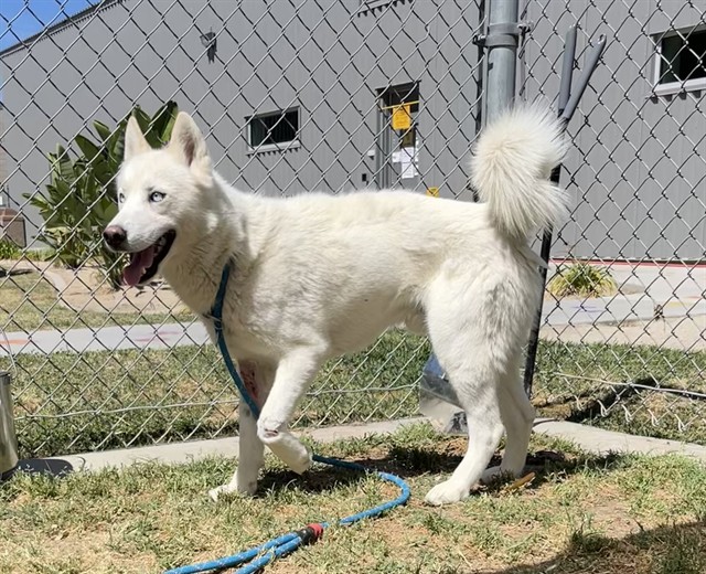 Klondike
