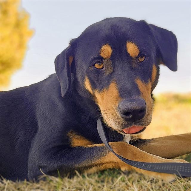 Max