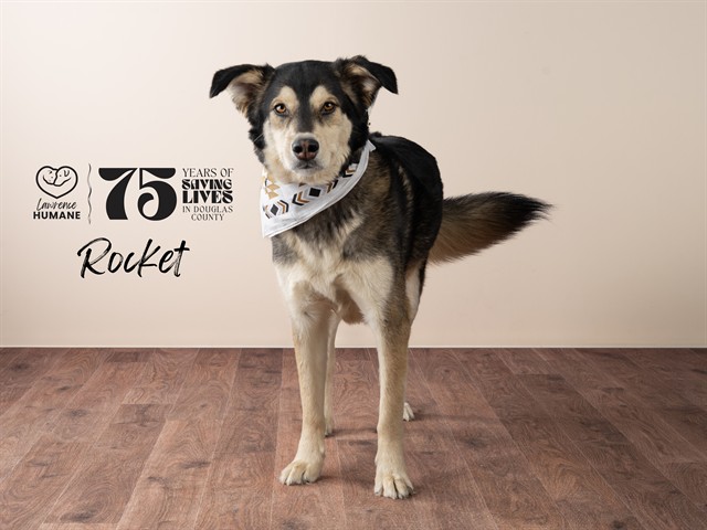 Rocket