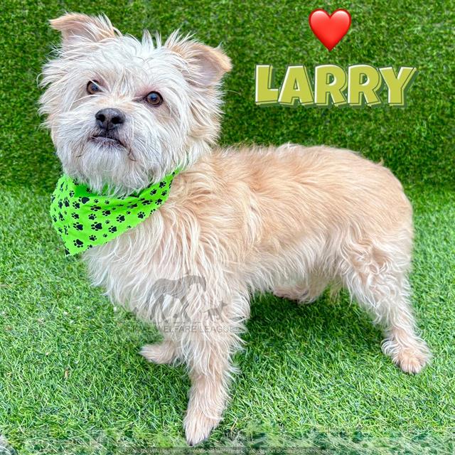 Larry
