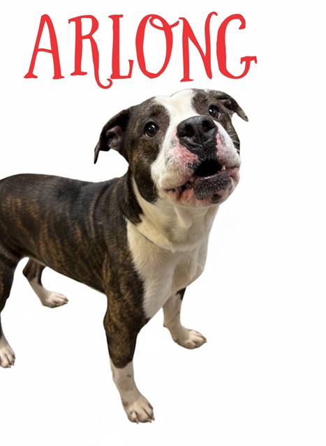 Arlong