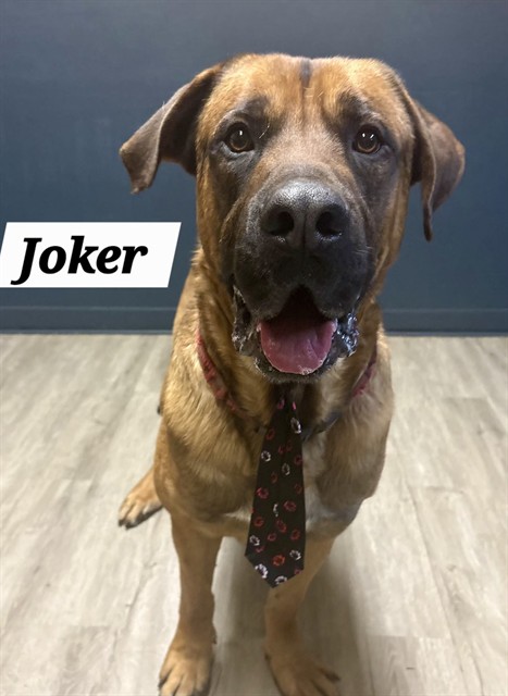 Joker