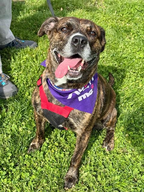 Darla