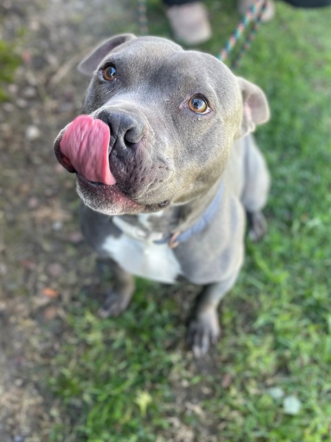 Malcolm - In Foster