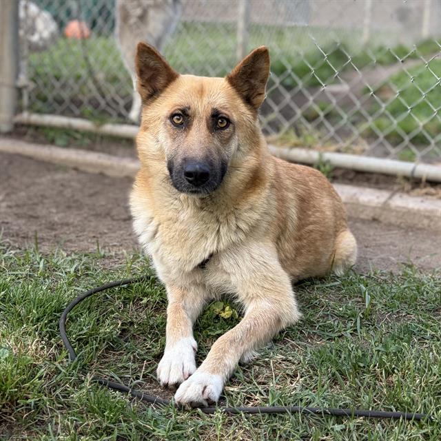 *Maggie