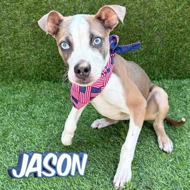 Jason