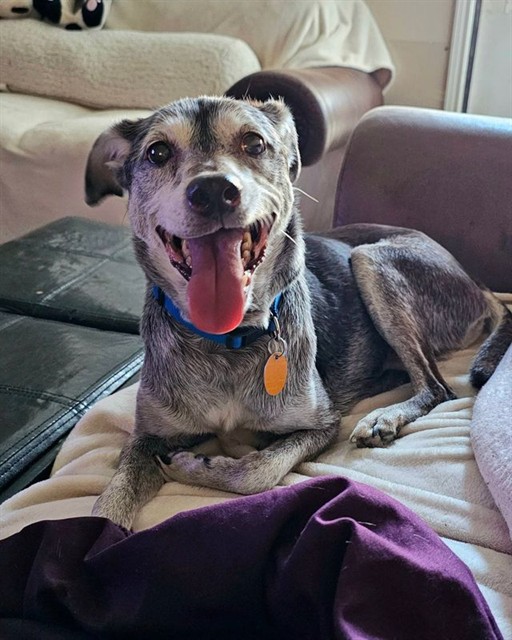 Paco