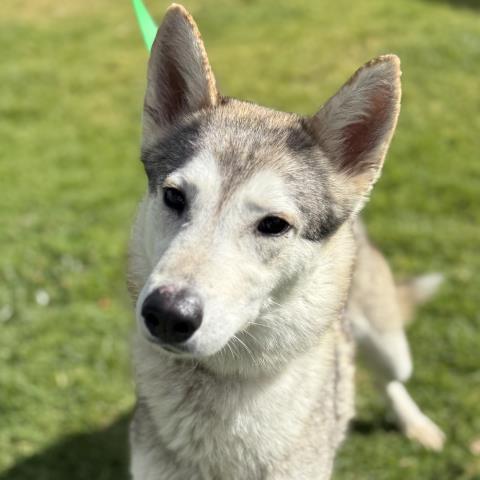 Zoey