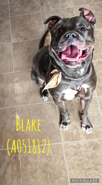 Blake