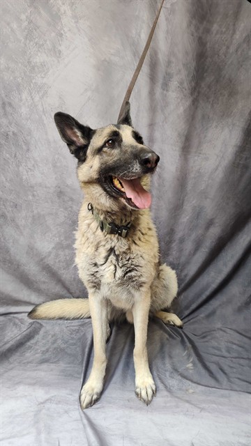 Odin
