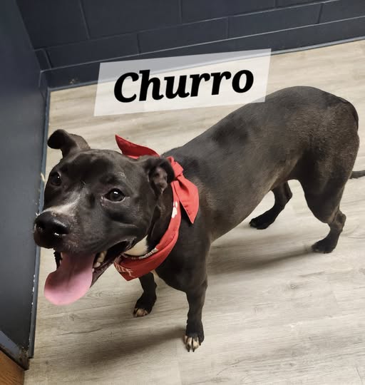 Churro
