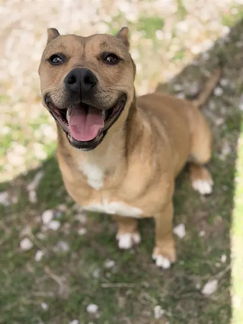 Fiona