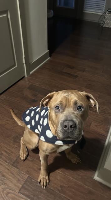 Truman