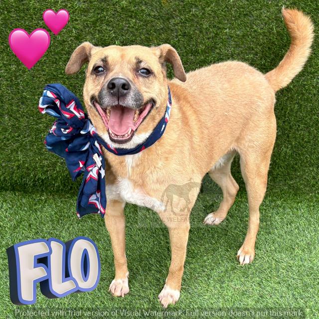 Flo