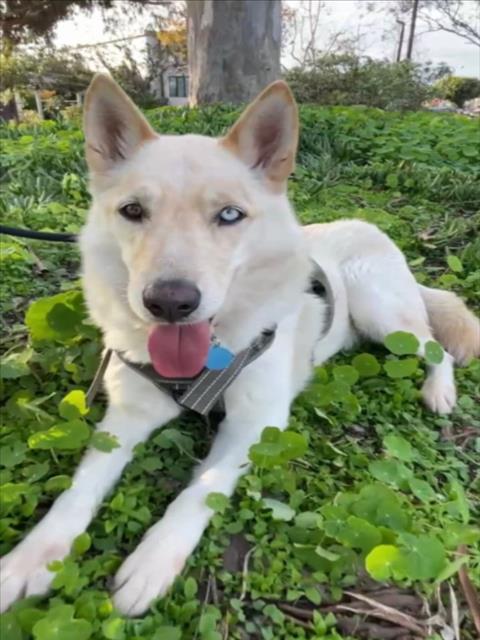 Max