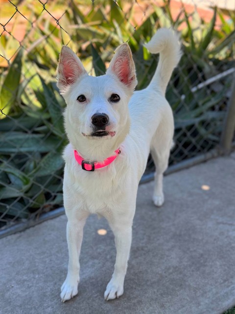 Coco