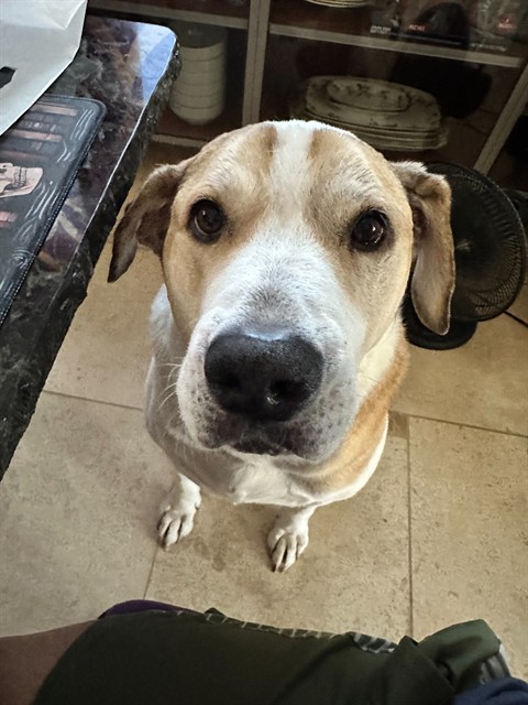 Tucker