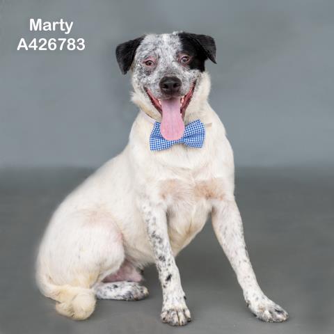 Marty