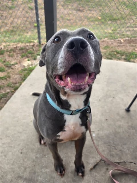 Benny