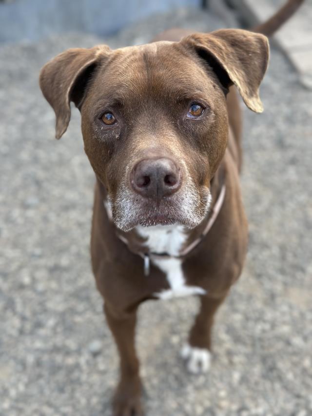 Zeus